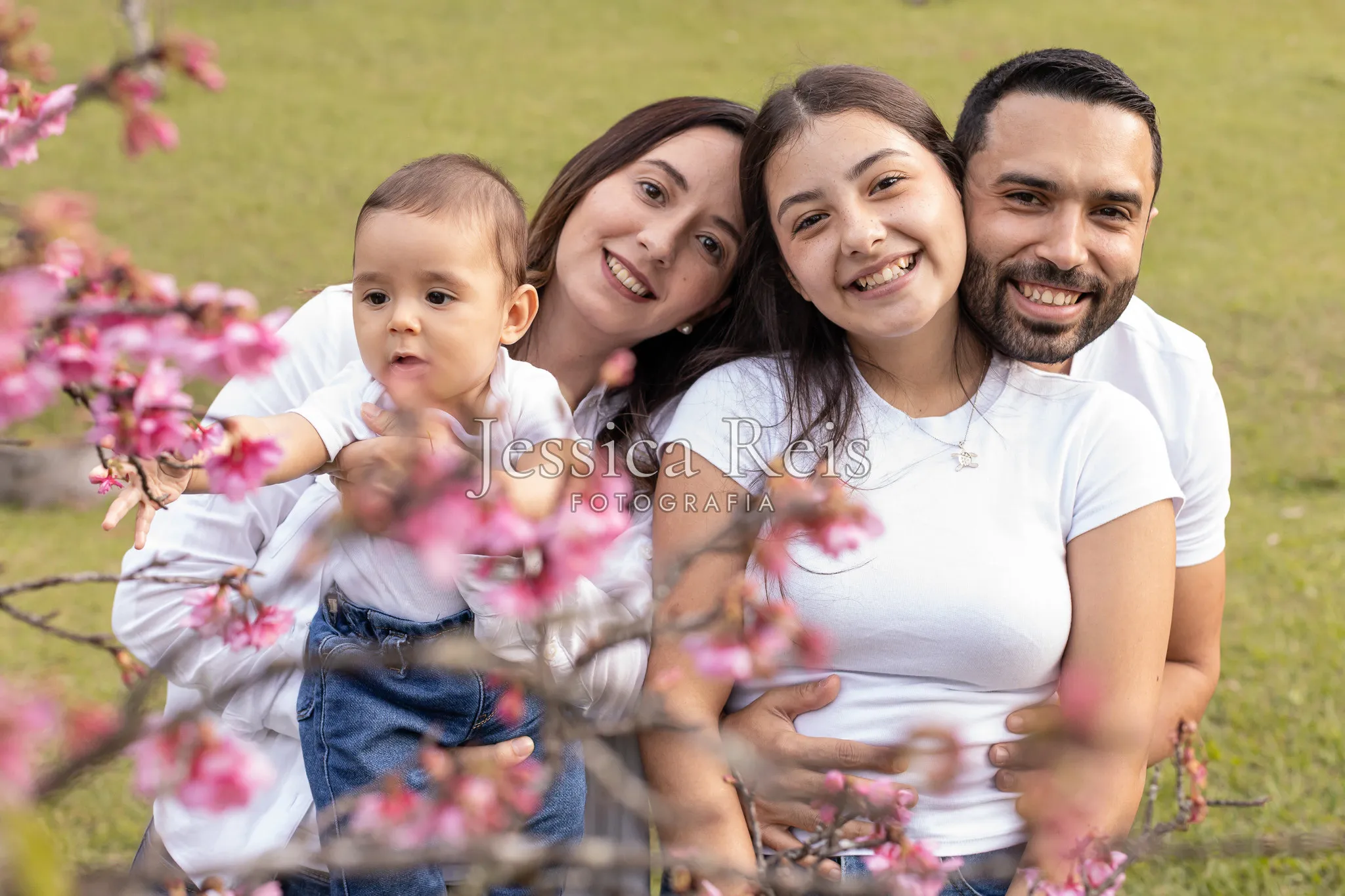 Família deitada na grama sob as cerejeiras, ensaio espontâneo no parque